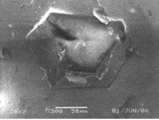 SEM photo of the bonding state of electroplated metal and diamond